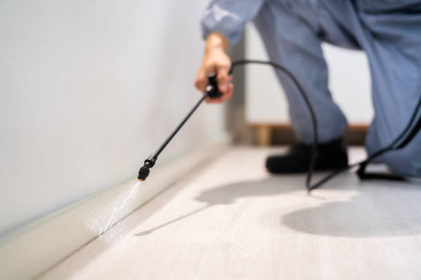 Licensed Fumigation Services service in Greene County County, GA - Nex Pest Control